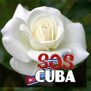 Meet your Posher, Isaac